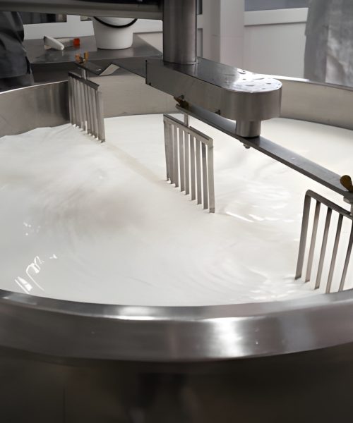 Yoghurt Production Enterprise
